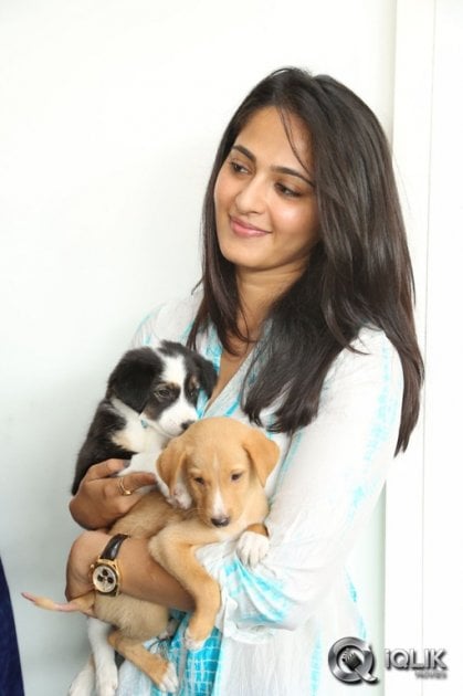 Anushka-at-Blue-Cross-Pet-Carnival-2014